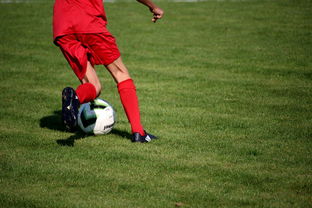 kaiyun开云·官方网站-意甲裁判语义分析系统在比赛判罚中的应用研究，意甲裁判名单