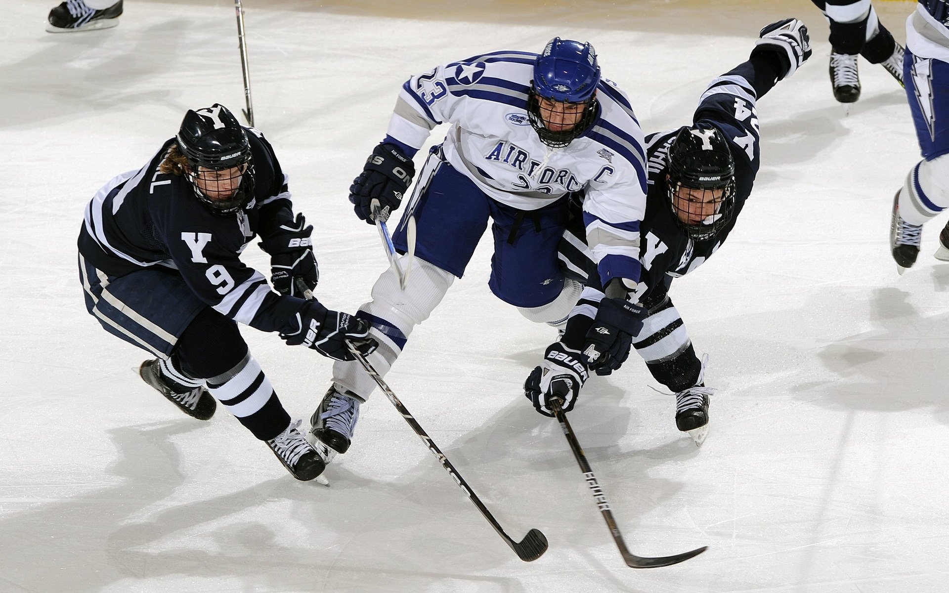 体育新闻中心发布体育主题融媒体叙事方式研究报告,全体育媒体